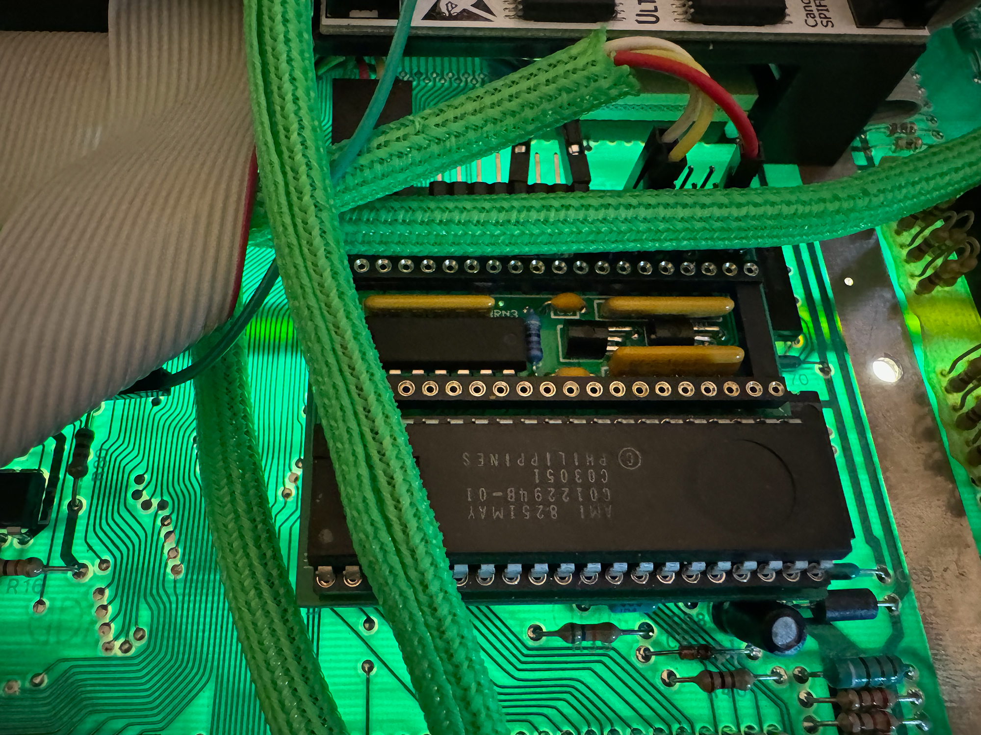 800XL-Plexi_Orig_14.jpg